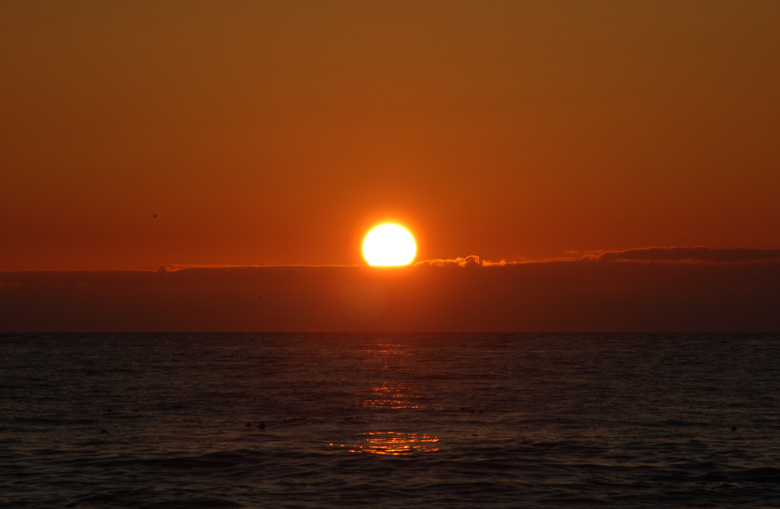 DSC_0187.JPG