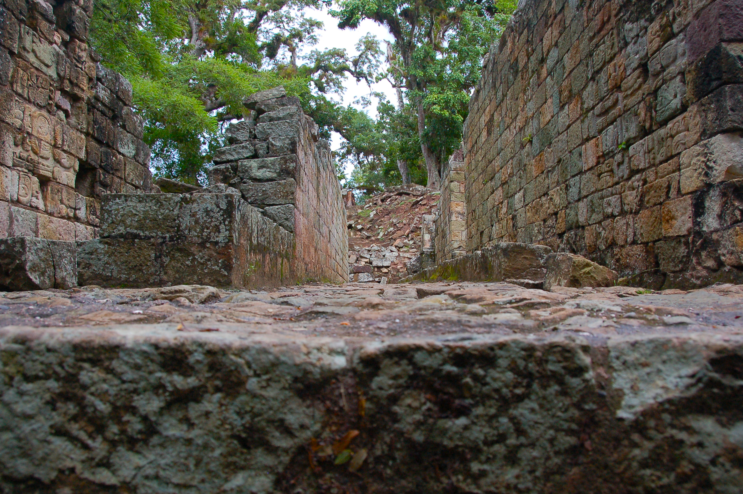 DSC_0165.jpg