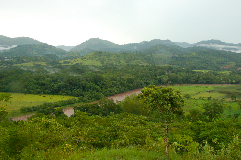 DSC_0245.jpg